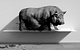 Zwevende wandplank van Strackk met varken in zwart wit 1080 x 680 pxl
