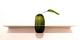 Wandplank Van Strackk Met Groene Vaas Van Fest